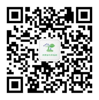 ��ҳ-BB��������ɭ��˾����